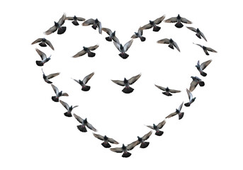 Heart of doves soaring with love, peace and freedom
