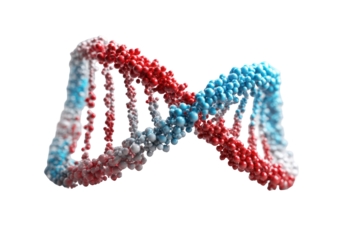 3D rendering of a DNA double helix.  Colorful, stylized