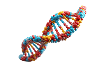 Colorful DNA double helix graphic