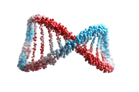3D rendering of a DNA double helix.  Colorful, stylized