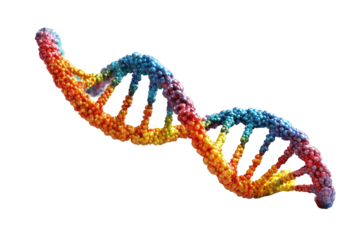Colorful DNA double helix (10)