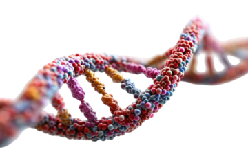 DNA helix with colorful nucleotides