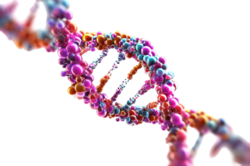 Colorful DNA double helix (15)