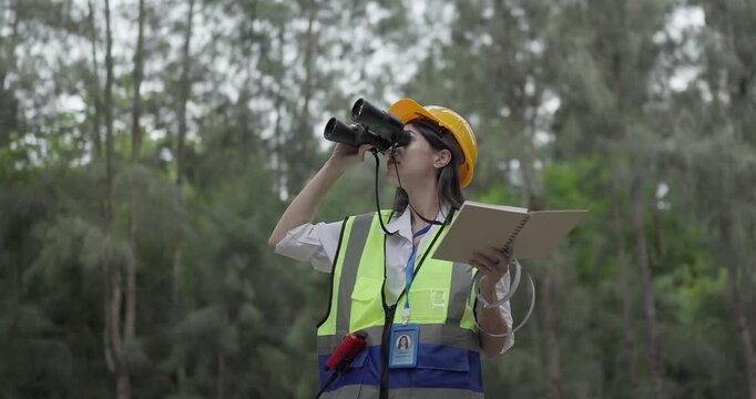 Female environmental engineer conducts field survey in pine forest, measuring, documenting tree diameter for carbon credit verification. Climate action, green forestry, ecological conservation efforts