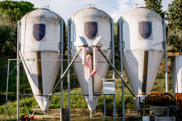 Industrial silo tanks for grain or feed storage in agricultural farm, outdoor metal storage containers with pipes and support structures
