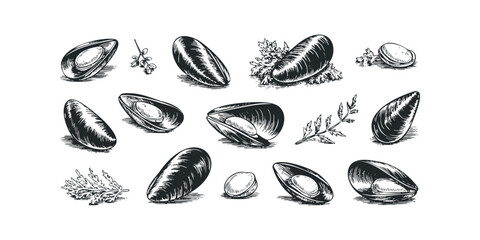Collection of Hand-Drawn Mussels and Garnish Sprigs