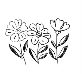 Botanical Drawing Wildflower Illustration Floral Print Art Naturalistic Sketch in Minimalist Design Floral Print Fine Art Monochromatic Flower Design Decorative Element Artwork