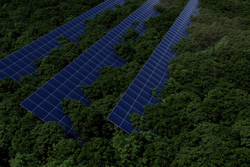 Solar panels integrated within a lush forest environment showcasing renewable energy solutions