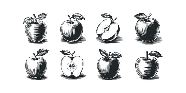 Set of woodcut apples and half apples with leaves