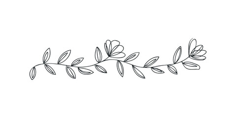 Hand drawn line art floral flourish