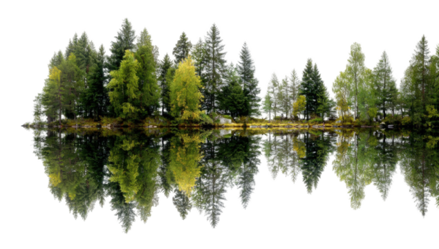 Serene lake reflected forest scene - Powered by Adobe