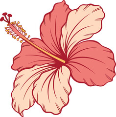 Red and white lily flower vector illustration of a beautiful floral pattern design for a spring or summer decoration