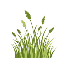 A simple vector illustration of tall green grass blades.