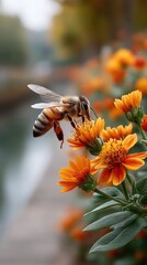 Detailed Macro Shot of a Bee Covered in Dew Drops Collecting Pollen from Vibrant Orange Flowers with Soft Bokeh Background and Subtle Water Reflection