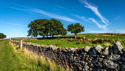 Picturesque Landscape with Stone Wall and Trees under a Blue Sky.