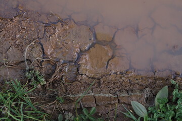 Water on cracked, red-brown soil in the Catalan Pyrenees. Natural textures, clay structure with a high content of iron oxides.