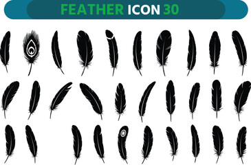 Collection of diverse black feather icons on white background symbolizing nature and design elements