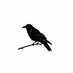 Obraz premium Black silhouette of a crow perched on a branch with a crescent moon detail