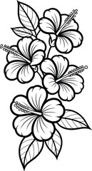 Black and White Hibiscus Flower Illustration Line Art.