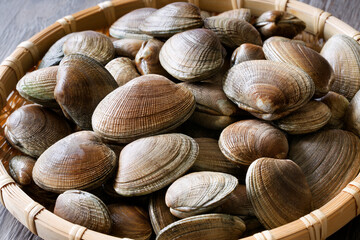 北海道産活あさり