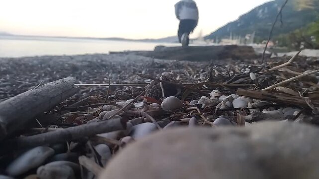 A woman approaches a large log on the beach and sits down. In the spring, a girl in a sports jacket and baseball cap has come to the beach to sit and think