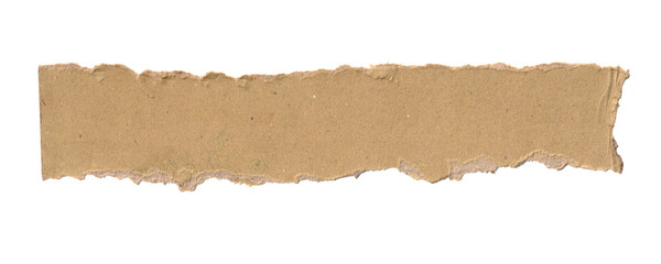 torn brown paper strips with rough edges isolated on white background