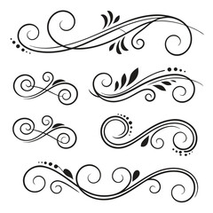 Swirling Black Flourish Design Elements

