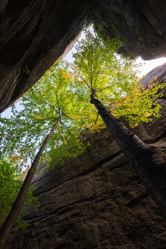 Rock City Park Olean New York, Giant Rock Formations and Scenic Overlook