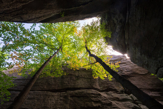 Rock City Park Olean New York, Giant Rock Formations and Scenic Overlook