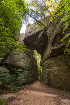 Rock City Park Olean New York, Giant Rock Formations and Scenic Overlook
