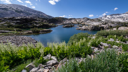 Vibrant Alpine Foliage and Blue Lake Surrounded by Rocks in the Twenty Lakes Basin, Eastern Sierra, California.