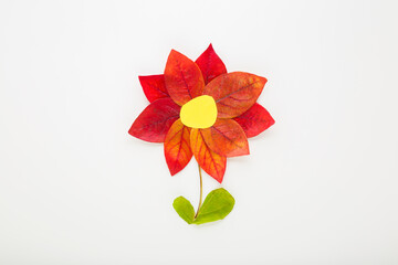 Created beautiful flower shape from red and green leaves and paper on light gray table background. Making autumn decoration. Closeup. Top down view.