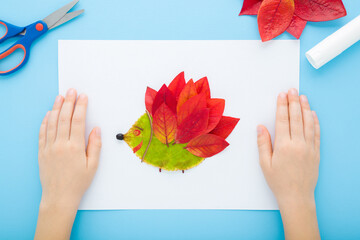 Little child hands creating beautiful hedgehog shape from colorful leaves on white paper on blue table background. Pastel color. Making autumn decoration. Point of view shot. Closeup. Top down view.