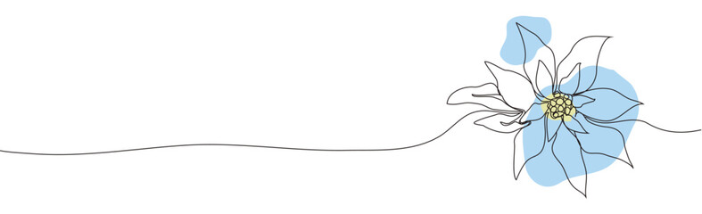 modern flower of poinsettia, leaves.  Continuous one line drawing in minimal style.  symbol of winter flowers (poinsettia). art  element for exotic poster, banner, print. vector illustration