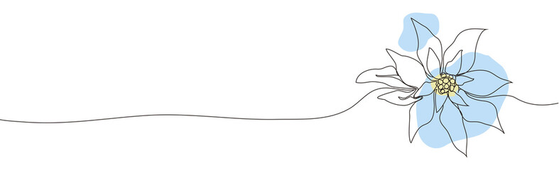 modern flower of poinsettia, leaves.  Continuous one line drawing in minimal style.  symbol of winter flowers (poinsettia). art  element for exotic poster, banner, Wallpaper, print. png illustration