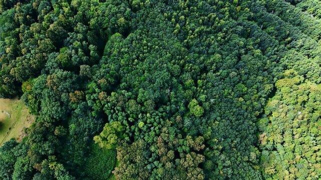 Aerial view of hill ridge and forest in countryside. Drone landscape showing dry hill slopes and forest with distant villages and fields.