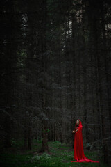 Fototapeta premium woman wears a striking red gown and hood while standing quietly in a shadowy forest. Tall trees surround her, creating an atmosphere of mystery