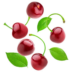 dynamic shot of ripe red cherries with green stems and leaves, captured flying or falling, isolated cleanly against a dark transparent background.
