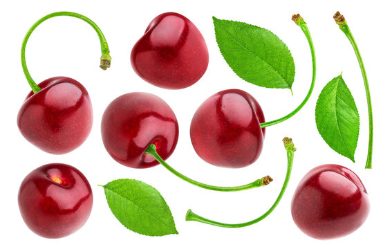 ripe, glossy red cherries, loose leaves, and various green stems floating in mid-air, creating a dynamic composition isolated on a transparent background.