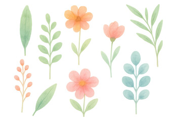 Fototapeta premium Watercolor hand drawn flowers and leaves collection with pastel colors for spring and summer design elements