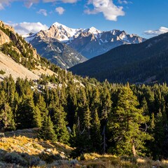 Rocky Mountain Majesty - A Landscape of Peaks and Pines.