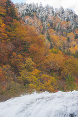 秋晴れの天人峡