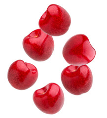 group of six perfectly ripe, dark red sweet cherries without stems, featuring highly reflective skin arranged in a circular pattern, isolated on a transparent background.