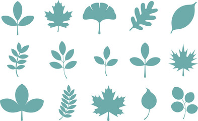 Leaf silhouette collection, botanical shapes, smooth, serrated, compound forms, nature inspired icons, black design set, flat vector illustration