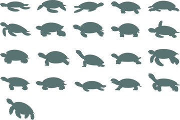Turtle and tortoise silhouettes collection, diverse shell shapes, walking, swimming, resting poses, animal icon set, flat vector illustration