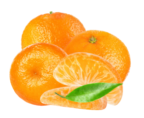 small grouping of three fresh ripe mandarin oranges or clementines and large peeled segment with a single vibrant green leaf, isolated photograph.