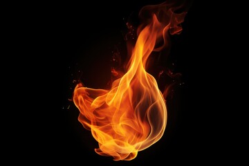 Fototapeta premium Tometo fire bonfire flame.