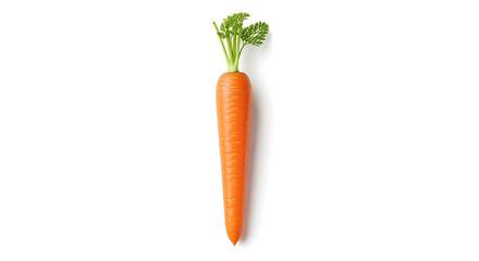carrot isolated on white