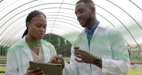 Examining lab-coated scientists tapping tablet while colleague holding seedling in greenhouse