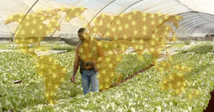 Walking worker wearing tool belt navigating lettuce rows in greenhouse, with AR world map